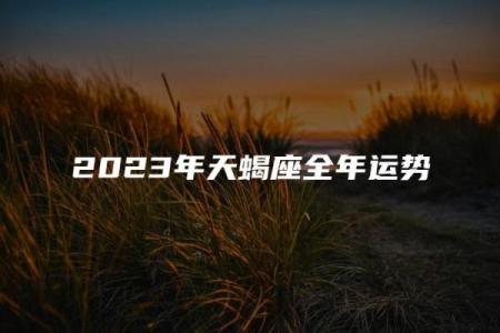 唐立淇星座运势天蝎