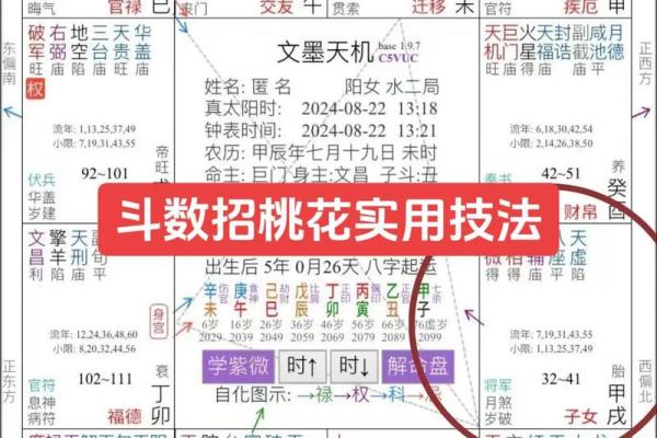 紫薇斗数阴阳相背