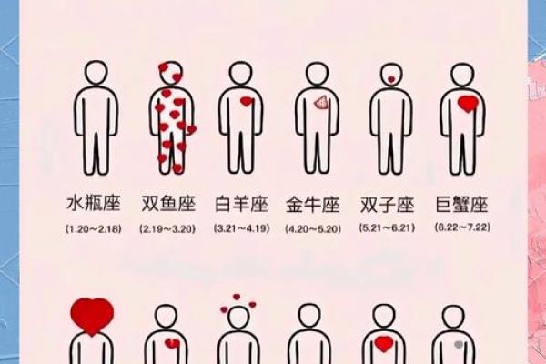 李云天生肖星运大揭秘，运势解析与星座之谜