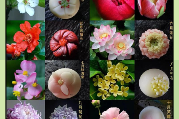 3月22日生日花语:白屈菜,3月22日是什么星座? 3月22日生日花语:白屈菜,3月22日是什么星座?