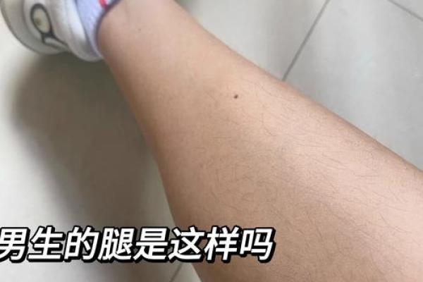 腿上有毛算命 腿上有毛算命