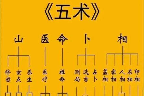 淄博紫微斗数 紫微斗数官网？