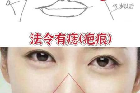 从法令纹看相算命