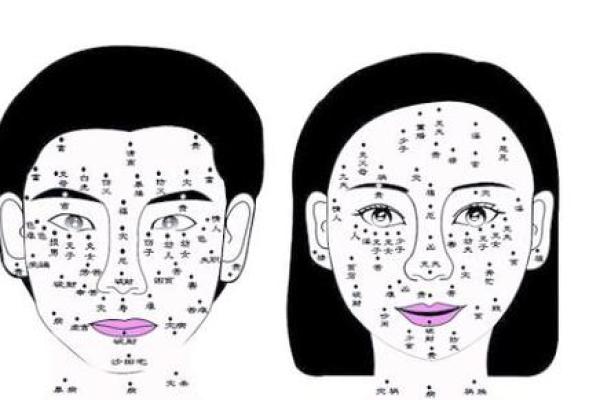 风水脸部哪里的痣不能点眉毛的痣