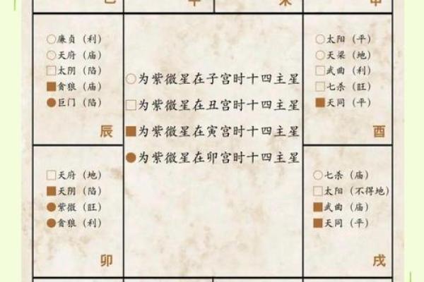 紫薇斗数中天才