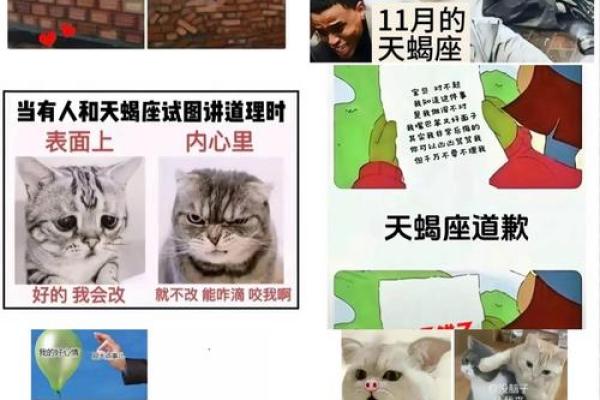 天蝎会屈服于哪个星座呢 天蝎会屈服于哪个星座呢