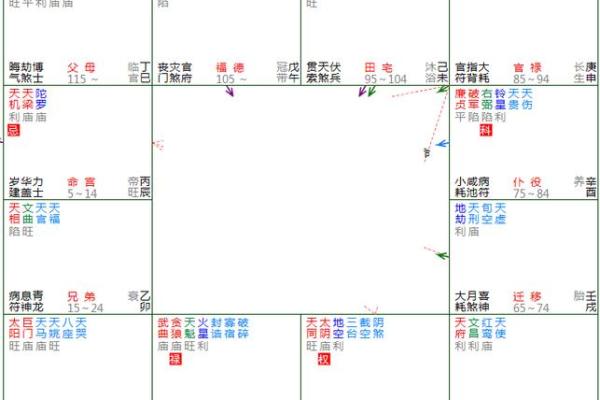 紫薇斗数绝墓 紫薇斗数绝墓