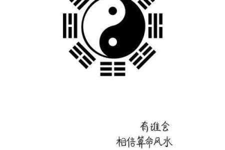 风水命理_主角叫王文涛闫思彤的小说