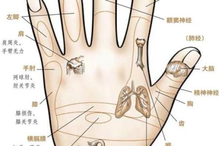 手相算命：健康