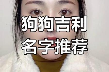 2018年属狗女宝宝如何取名，取什么名字寓意好？-华易网姓名