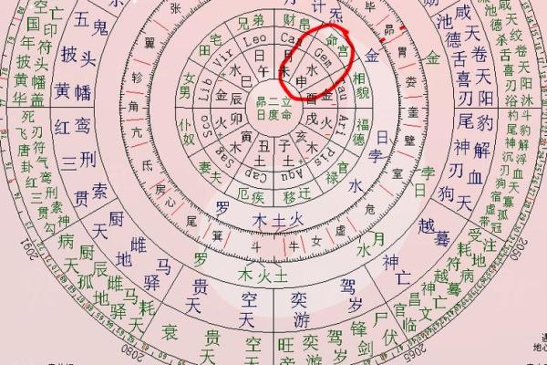 怎样看懂紫薇星盘 怎样看懂紫薇星盘