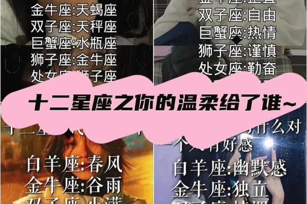 12星座里面哪个星座最适合做侦探呢 12星座里面哪个星座最适合做侦探呢