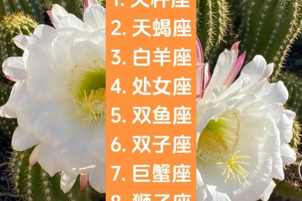 女人嫁哪个星座最好呢 女人嫁哪个星座最好呢