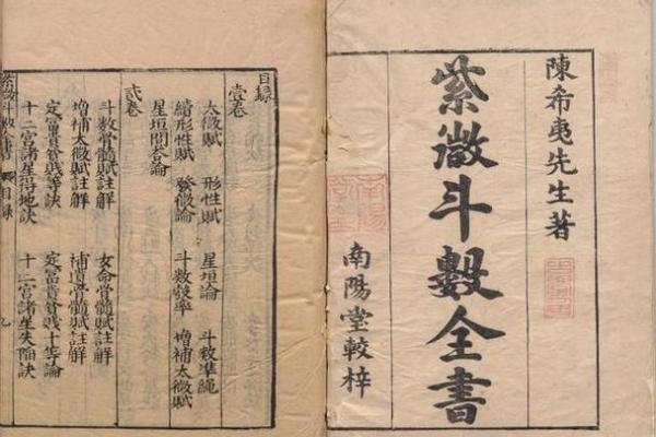 紫薇斗数入门更好的书 紫薇斗数入门更好的书