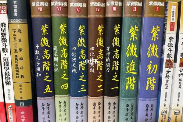 紫薇斗数入门更好的书 紫薇斗数入门更好的书