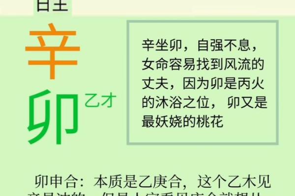 日柱辛卯的八字案例 日柱辛卯的八字案例
