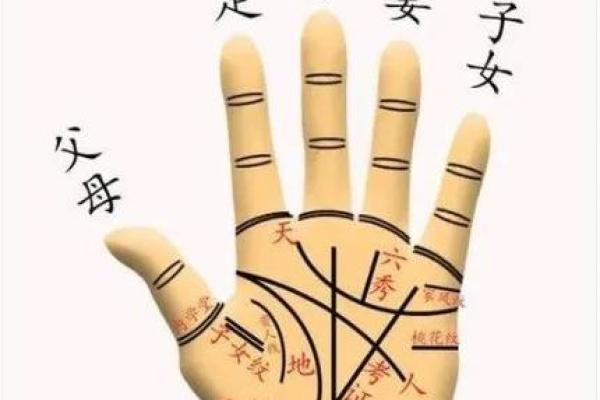 算命手势图含义