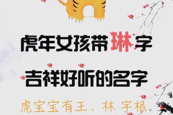 虎年女孩名字顺口好听的 新生儿起名字女孩生辰八字起名免费