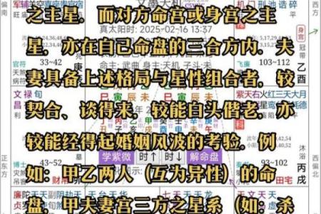 紫薇斗数子女流小