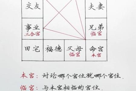紫薇斗数pdf