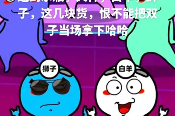 12星座双子座的男生帅吗 12星座双子座的男生帅吗