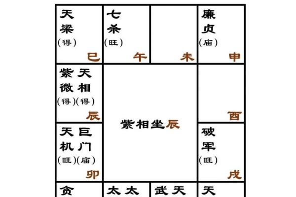 紫薇斗数干的气化 紫薇斗数干的气化