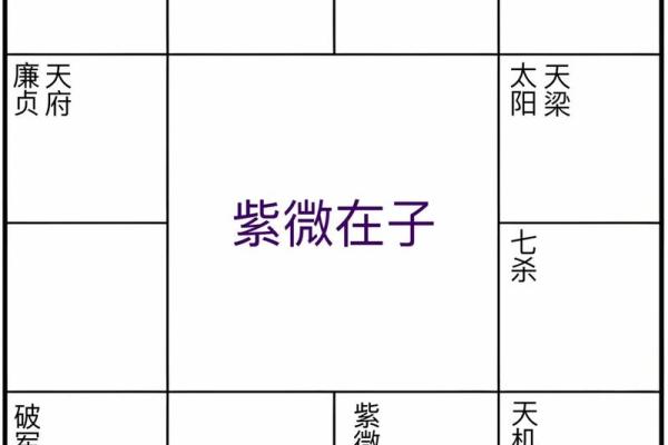 鬼谷子紫薇斗数 鬼谷子紫薇斗数