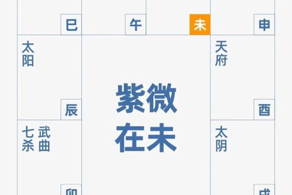 数术类古籍 飞星紫微斗数