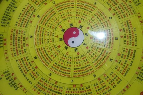 紫薇星盘斗数排盘