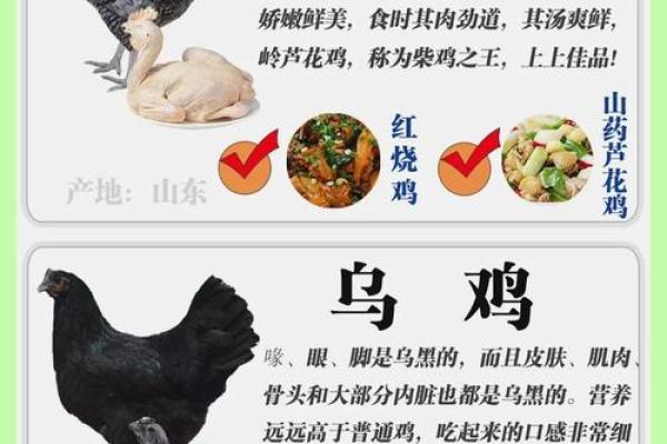 铜公鸡在风水的作用 铜公鸡在风水的作用阴宅 铜公鸡在风水的作用 铜公鸡在风水的作用阴宅