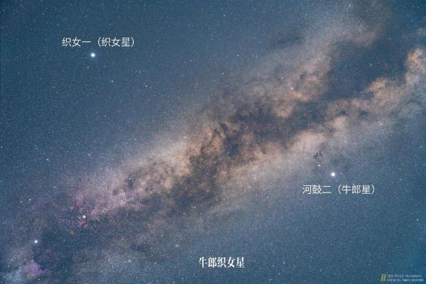 牛郎星是属于什么星座 牛郎星是属于什么星座