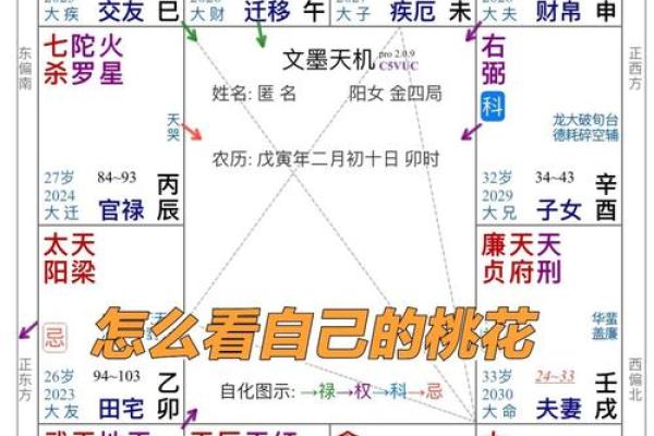 紫薇斗数看月运