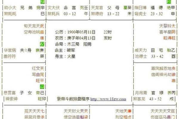 雪天紫薇斗数排盘软件