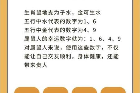 属虎和属鼠的八字合吗