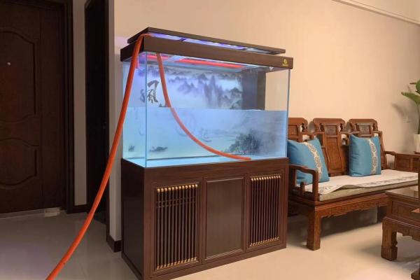 办公室风水鱼缸的摆放禁忌 鱼的数目也是有讲究的