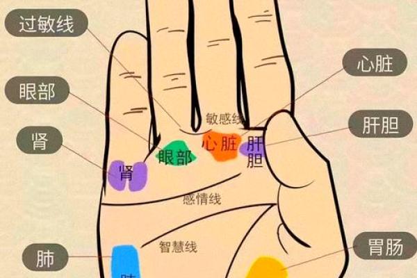 手上胎记算命图解