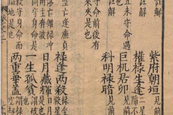 老鼠紫微斗数全书共几卷 老鼠 紫菀? 老鼠紫微斗数全书共几卷 老鼠 紫菀?