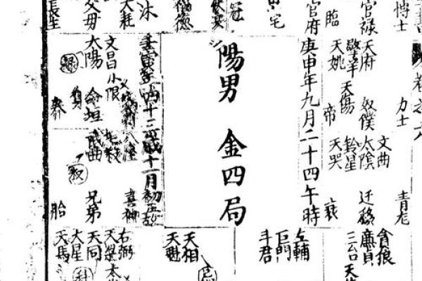 老鼠紫微斗数全书共几卷 老鼠 紫菀? 老鼠紫微斗数全书共几卷 老鼠 紫菀?