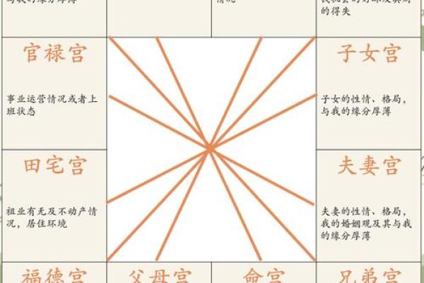 紫薇斗数从戍起子