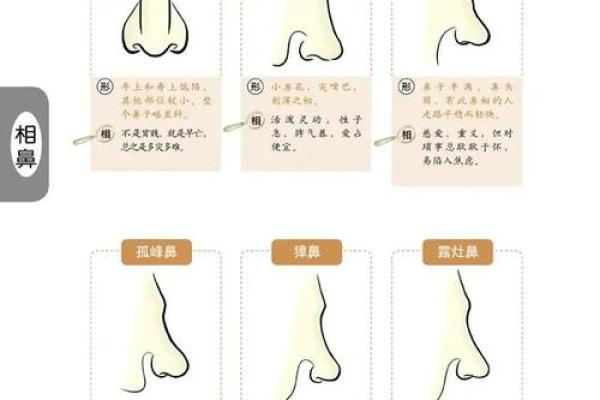 面相算命鼻子 面相算命鼻子