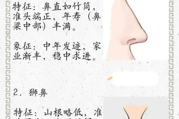 面相算命鼻子 面相算命鼻子