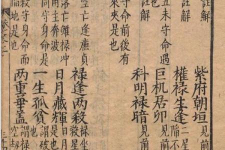 老鼠紫微斗数全书共几卷 老鼠 紫菀？