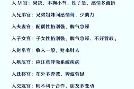 紫薇斗数会照什么意思