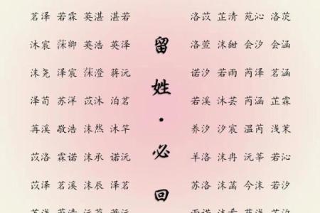 属狗卯时出生的男孩应该如何起名，宜用什么字姓名