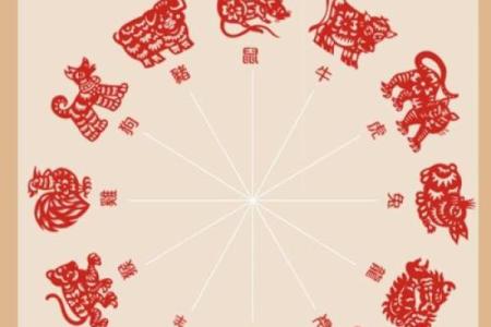 早看早赚：12生肖招财风水知识