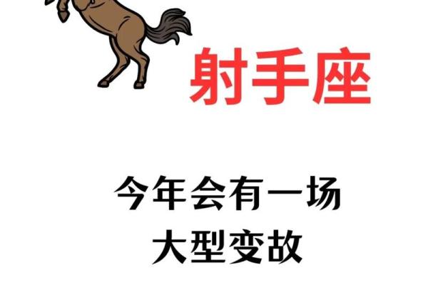 成熟的射手座很可怕 是王者星座么