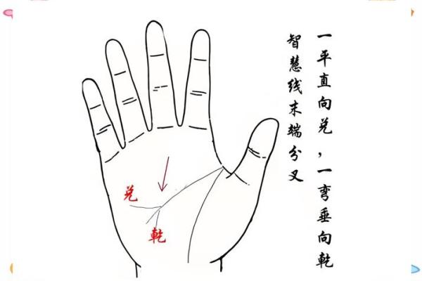 图解-智慧线上有十字纹算命