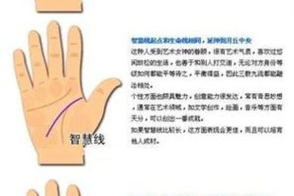 图解-智慧线上有十字纹算命