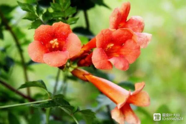 八字事业宫详解：如何突破事业瓶颈