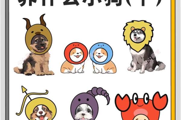 12星座的肉食动物有哪些